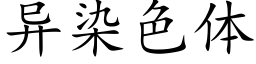 异染色体 (楷体矢量字库)