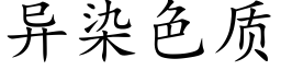 异染色质 (楷体矢量字库)