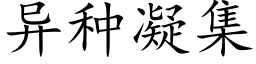 異種凝集 (楷體矢量字庫)