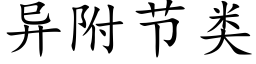 异附节类 (楷体矢量字库)