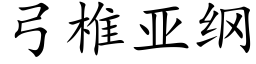 弓椎亞綱 (楷體矢量字庫)