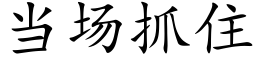 当场抓住 (楷体矢量字库)