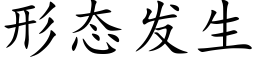 形态发生 (楷体矢量字库)