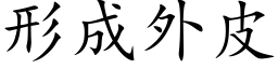 形成外皮 (楷体矢量字库)