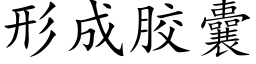 形成胶囊 (楷体矢量字库)