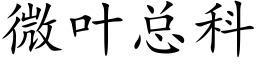 微葉總科 (楷體矢量字庫)