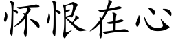 怀恨在心 (楷体矢量字库)