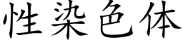 性染色體 (楷體矢量字庫)