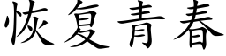 恢复青春 (楷体矢量字库)