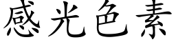 感光色素 (楷體矢量字庫)