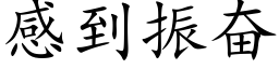 感到振奮 (楷體矢量字庫)