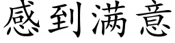 感到滿意 (楷體矢量字庫)