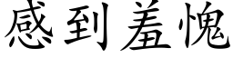 感到羞愧 (楷體矢量字庫)