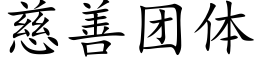 慈善团体 (楷体矢量字库)