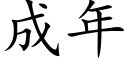 成年 (楷体矢量字库)