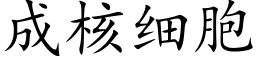 成核細胞 (楷體矢量字庫)