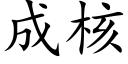 成核 (楷体矢量字库)