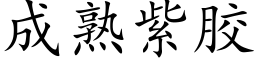 成熟紫膠 (楷體矢量字庫)