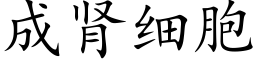 成腎細胞 (楷體矢量字庫)