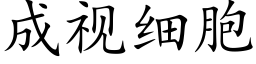 成视细胞 (楷体矢量字库)