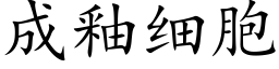 成釉细胞 (楷体矢量字库)