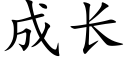 成长 (楷体矢量字库)