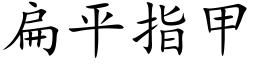 扁平指甲 (楷體矢量字庫)