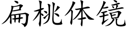 扁桃体镜 (楷体矢量字库)