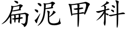 扁泥甲科 (楷体矢量字库)