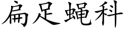 扁足蝇科 (楷体矢量字库)