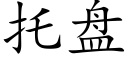 托盘 (楷体矢量字库)