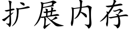 扩展内存 (楷体矢量字库)