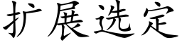 扩展选定 (楷体矢量字库)