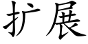 扩展 (楷体矢量字库)