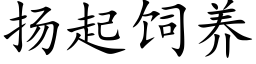 扬起饲养 (楷体矢量字库)