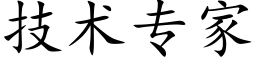 技术专家 (楷体矢量字库)