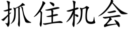 抓住機會 (楷體矢量字庫)