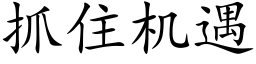 抓住機遇 (楷體矢量字庫)