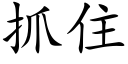 抓住 (楷体矢量字库)