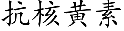 抗核黄素 (楷体矢量字库)