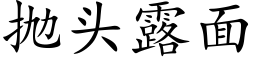 抛头露面 (楷体矢量字库)