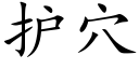 护穴 (楷体矢量字库)