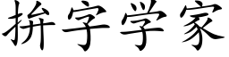 拚字学家 (楷体矢量字库)