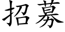 招募 (楷体矢量字库)