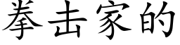 拳击家的 (楷体矢量字库)