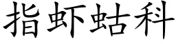 指虾蛄科 (楷体矢量字库)