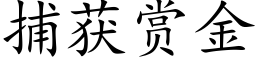 捕獲賞金 (楷體矢量字庫)