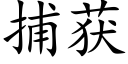 捕获 (楷体矢量字库)