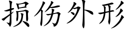 损伤外形 (楷体矢量字库)