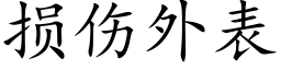 损伤外表 (楷体矢量字库)